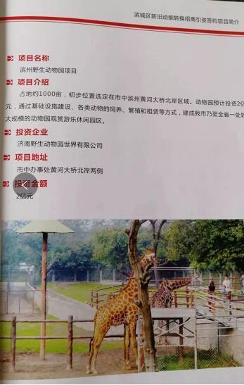 厲害了我的大濱州，15個(gè)招商引資項(xiàng)目集中簽約！